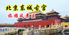 美国巨屌狂插越南美女正在直播爱奇中国北京-东城古宫旅游风景区